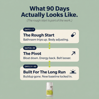 Milk Thistle Liver Detox